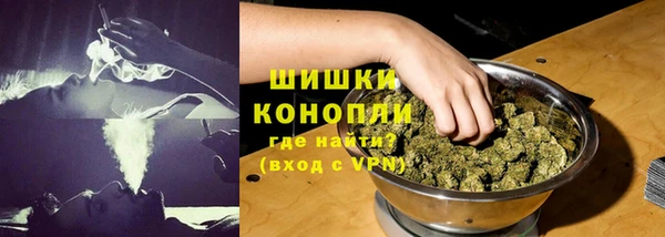 молекула духа Белокуриха