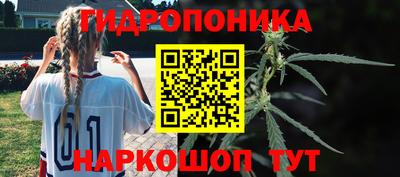 mdpv Боровичи