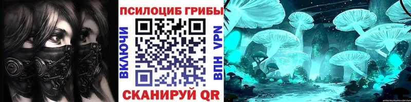 Псилоцибиновые грибы мицелий  где купить наркоту  darknet официальный сайт  Гатчина  МЕГА зеркало 