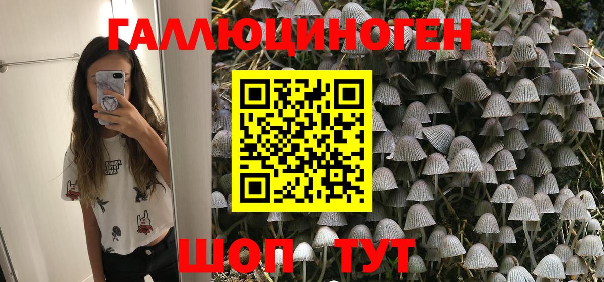 Псилоцибиновые грибы мицелий  Вход с VPN  Гатчина 